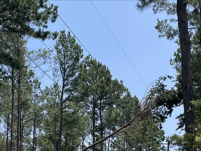 swepco-and-entergy-mississippi-crews-toil-to-restore-service-after